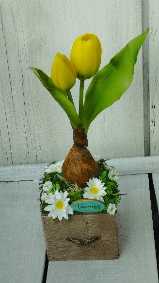Sárga tulipán