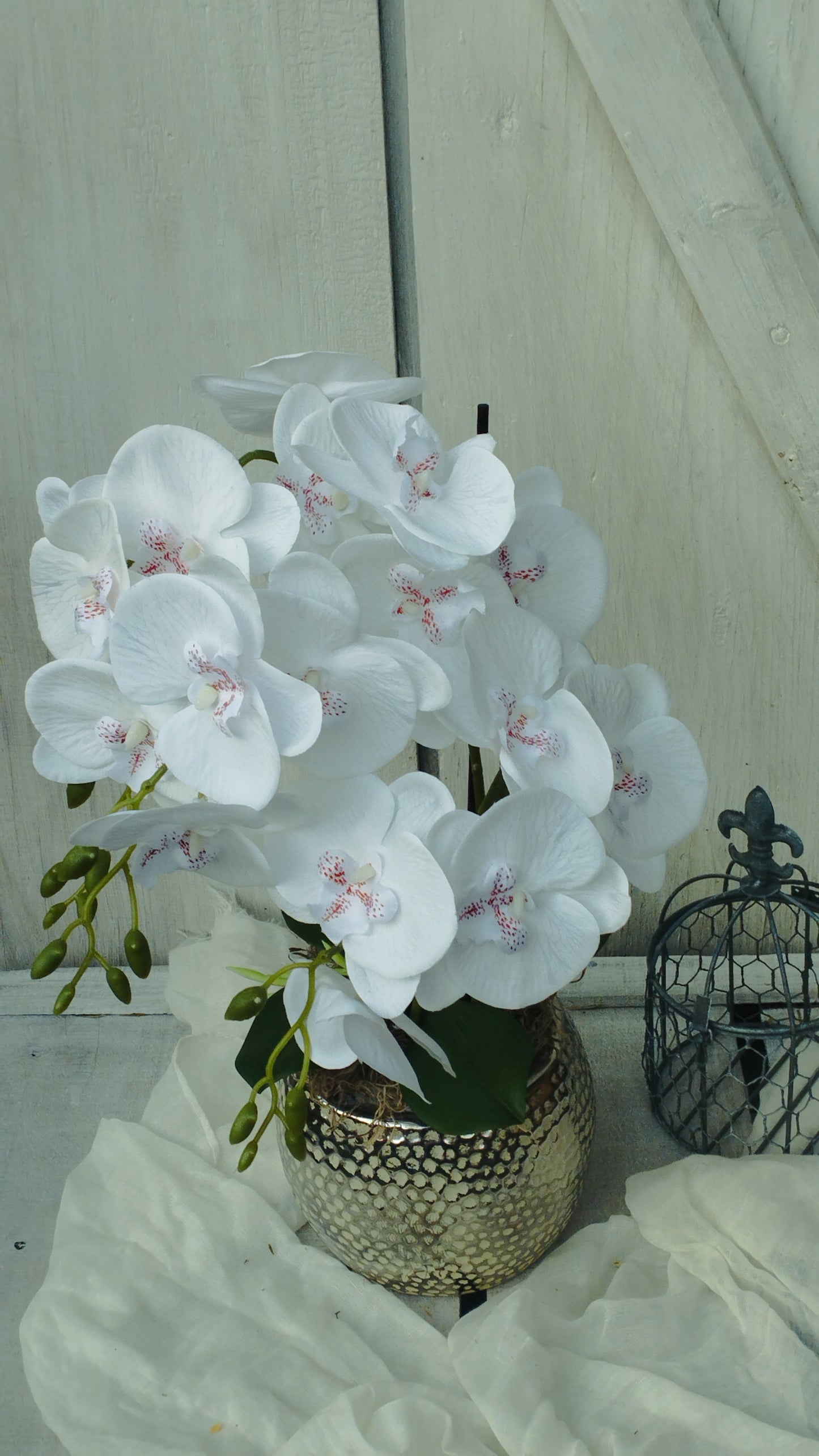 Három virágos fehér orchidea elegáns ezüst kaspóban