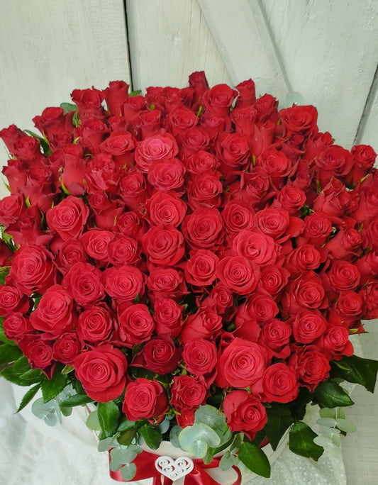 100 szálas bordó rózsa box