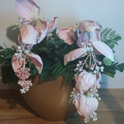 Medinilla rose gold kaspóba