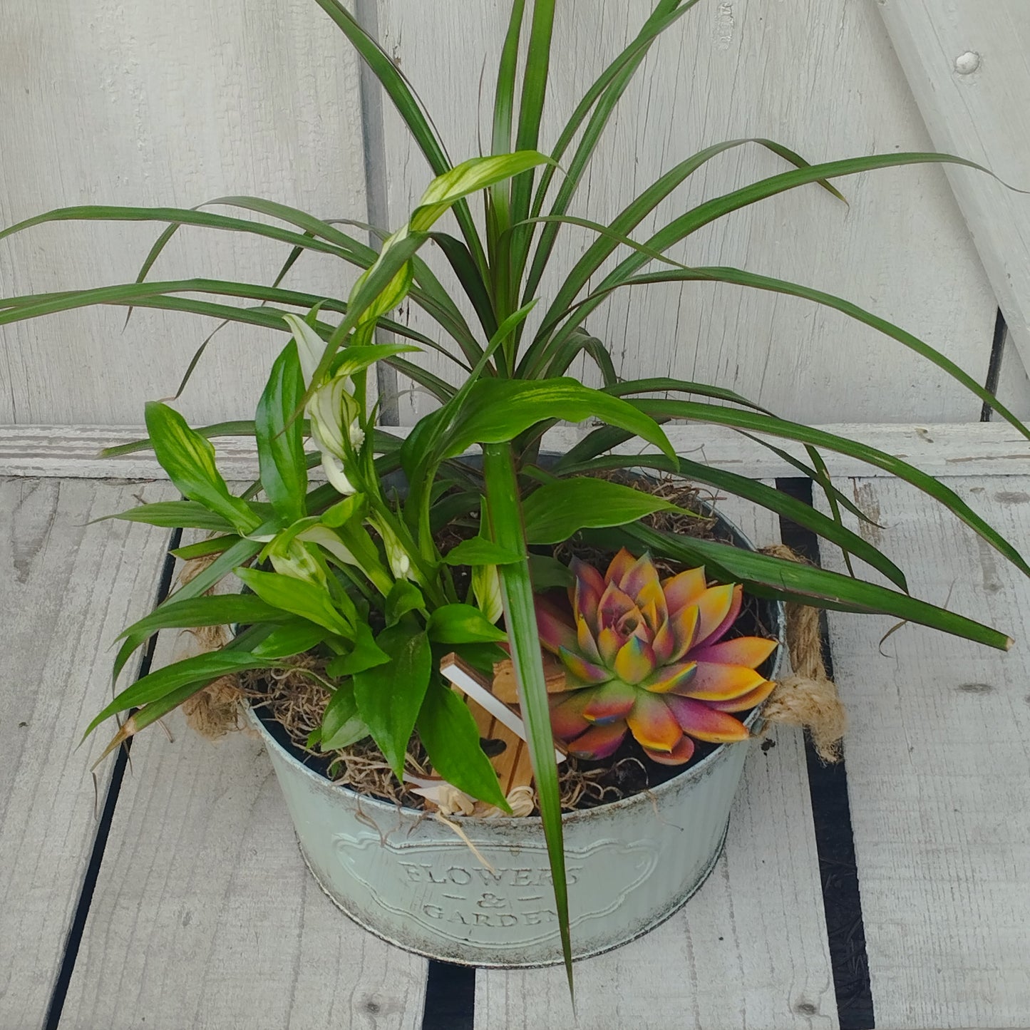 Élővirágos összeültetés